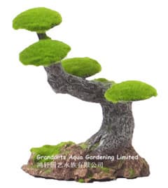 bonsai tree decoration moss stump